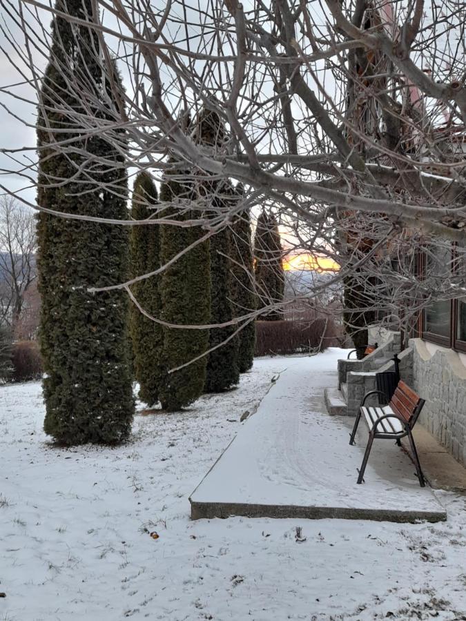 Cabana Scaricica Hotell Alexandru cel Bun Eksteriør bilde