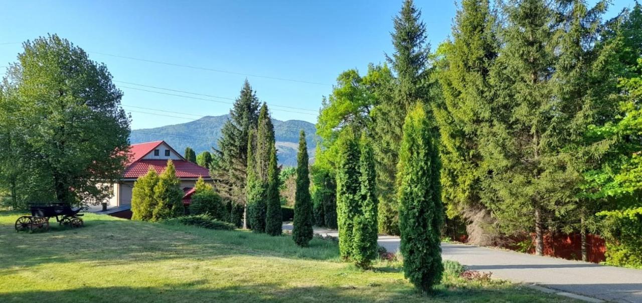 Cabana Scaricica Hotell Alexandru cel Bun Eksteriør bilde