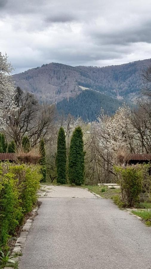 Cabana Scaricica Hotell Alexandru cel Bun Eksteriør bilde